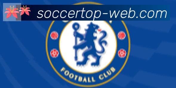 FIFA世界杯买球入口合作伙伴